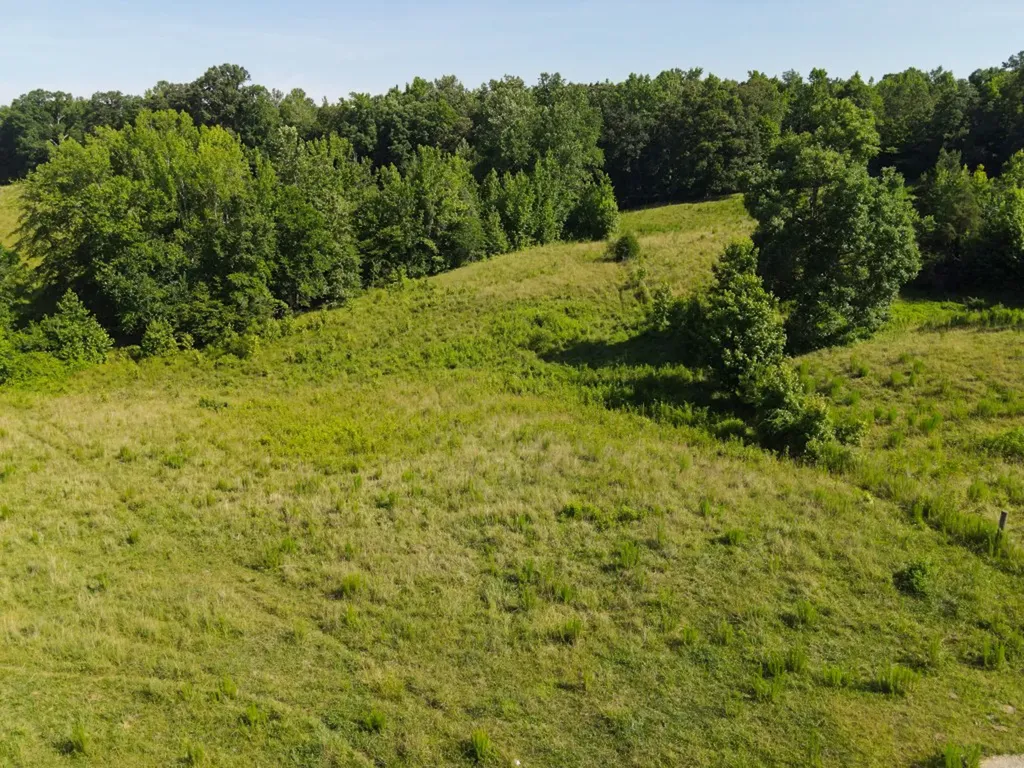 1074 Mcgee Road Decaturville TN 38329