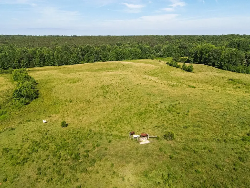 1074 Mcgee Road Decaturville TN 38329