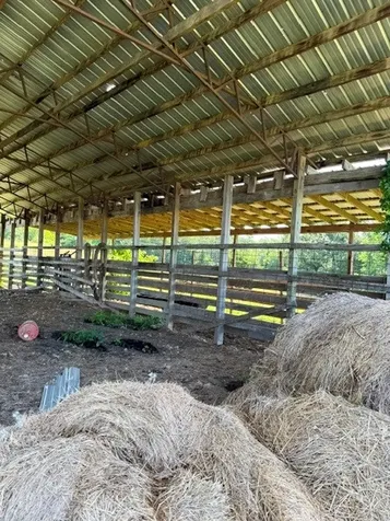 1074 Mcgee Road Decaturville TN 38329