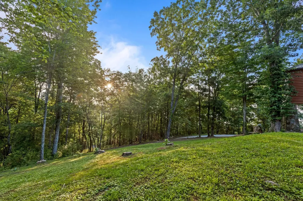 260 Lakeside Lodge Lane Spring City TN 37381