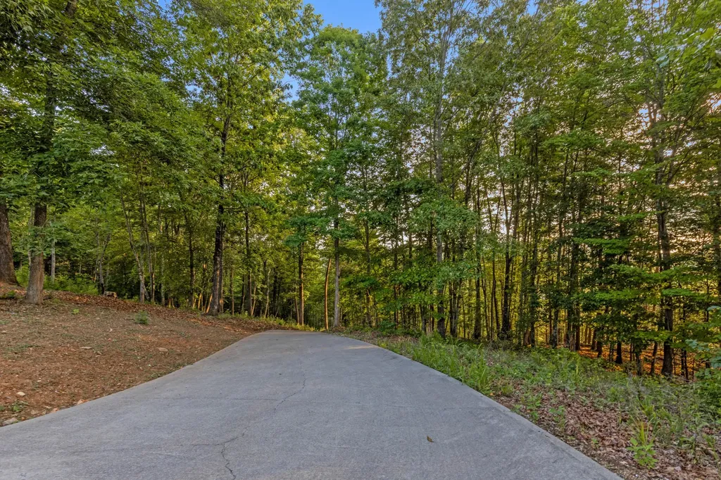 260 Lakeside Lodge Lane Spring City TN 37381