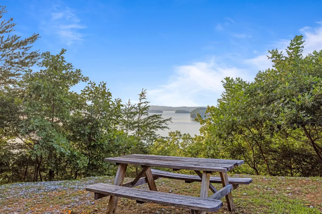 260 Lakeside Lodge Lane Spring City TN 37381