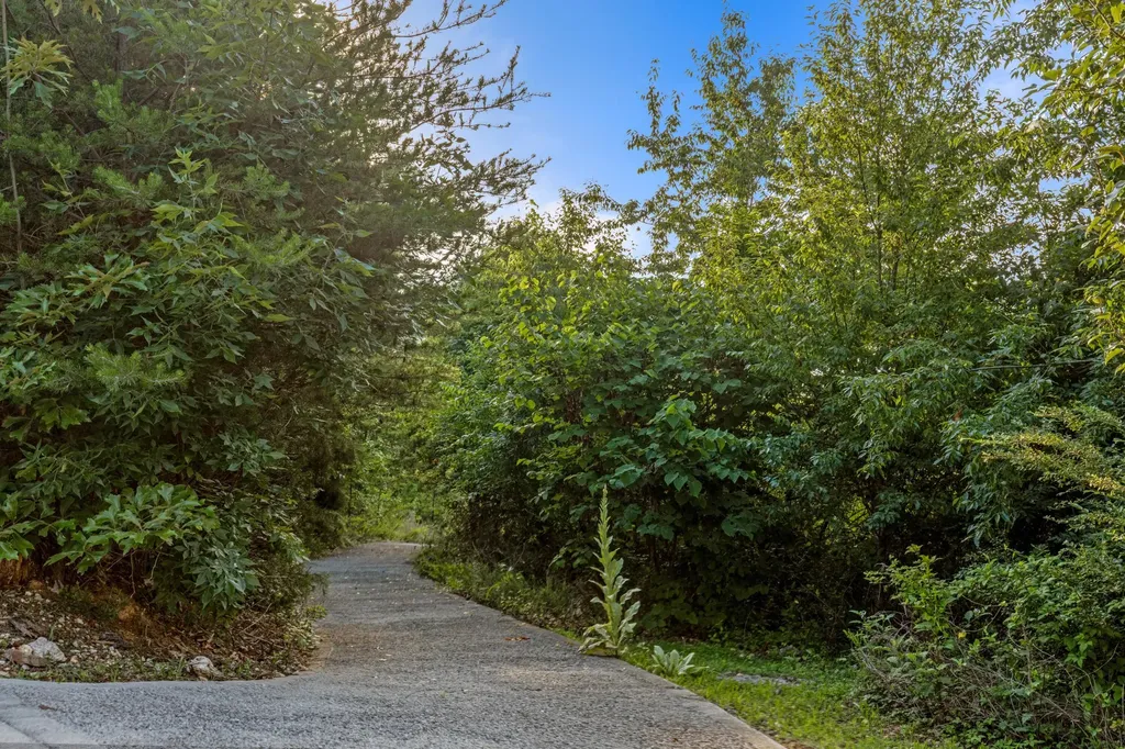 260 Lakeside Lodge Lane Spring City TN 37381