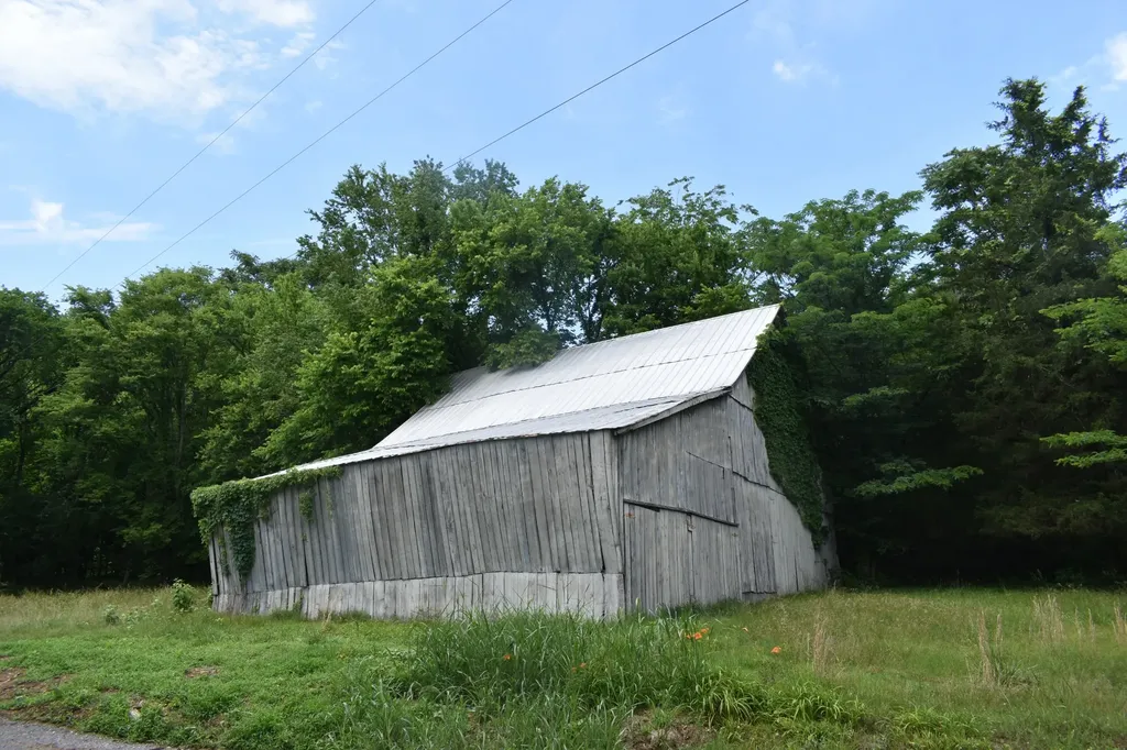 103 Nixon Hollow Ln, N Pleasant Shade TN 37145