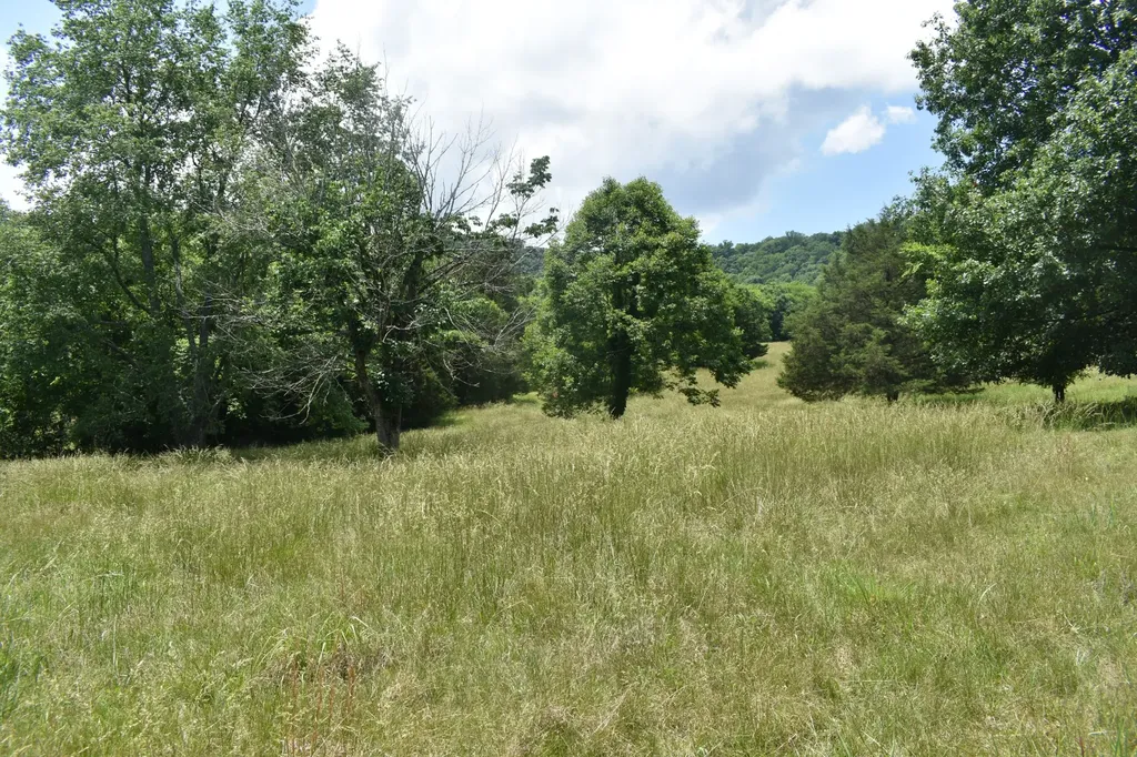103 Nixon Hollow Ln, N Pleasant Shade TN 37145