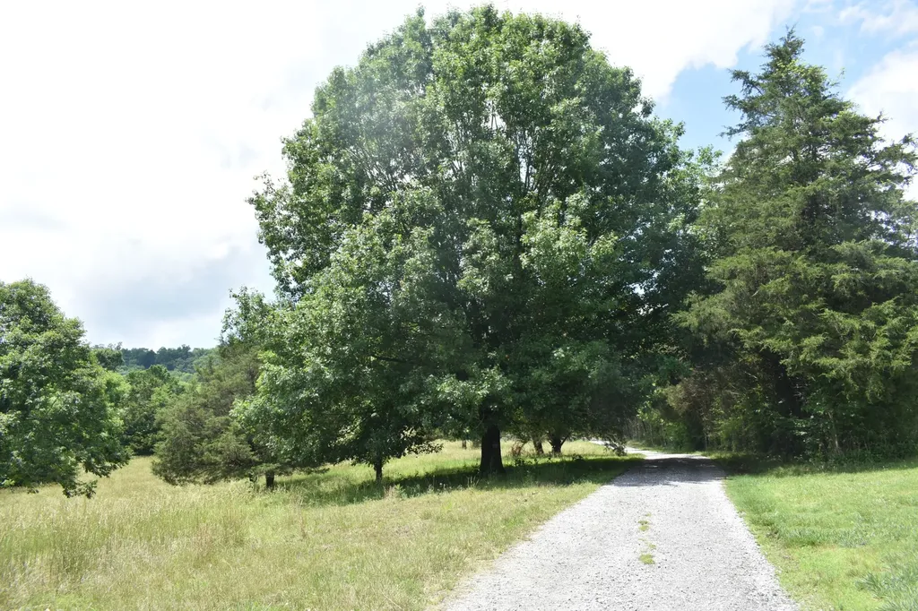 103 Nixon Hollow Ln, N Pleasant Shade TN 37145