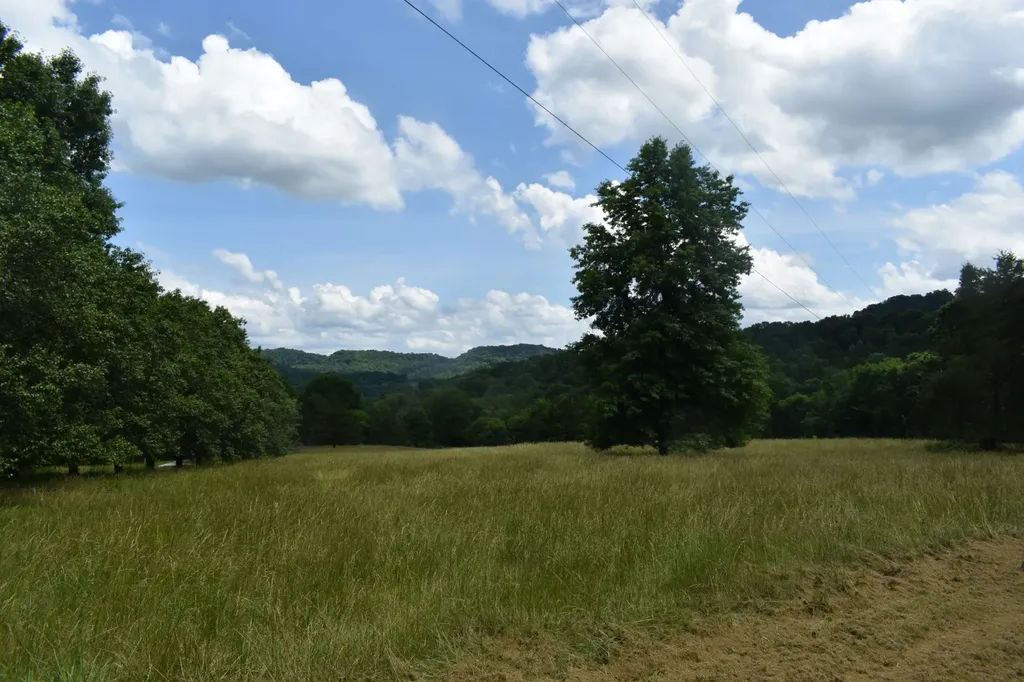 103 Nixon Hollow Ln, N Pleasant Shade TN 37145