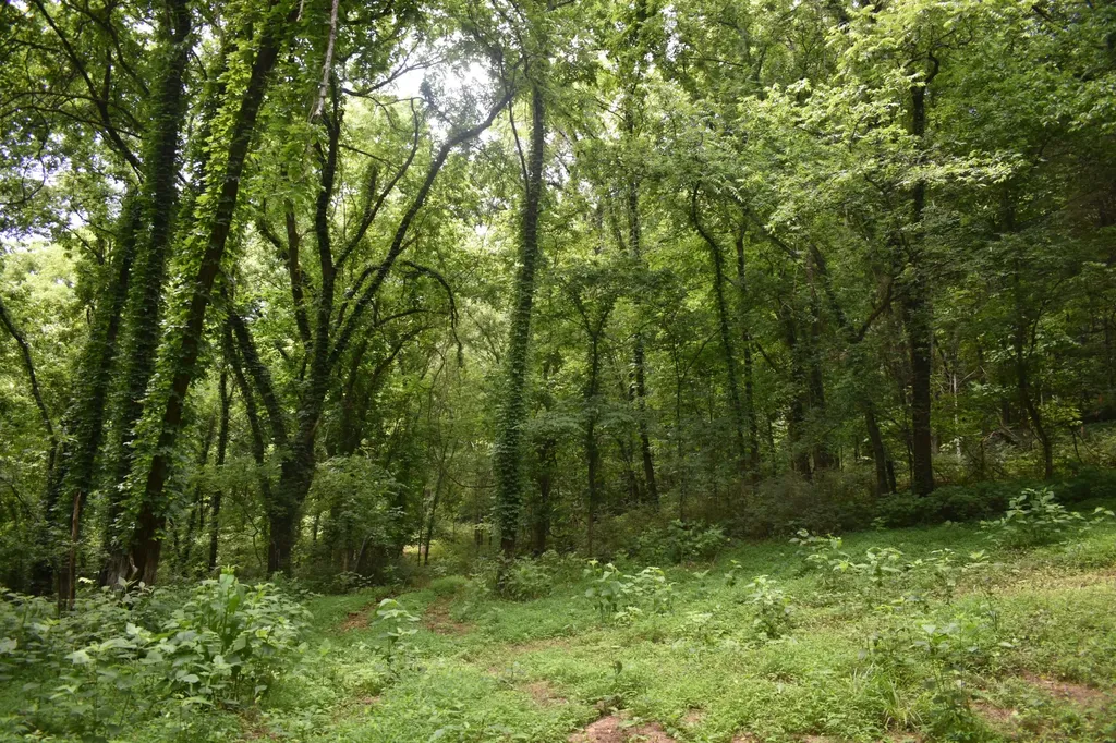 103 Nixon Hollow Ln, N Pleasant Shade TN 37145