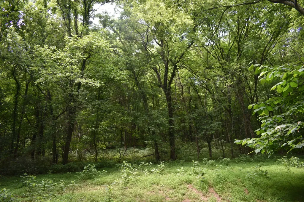 103 Nixon Hollow Ln, N Pleasant Shade TN 37145