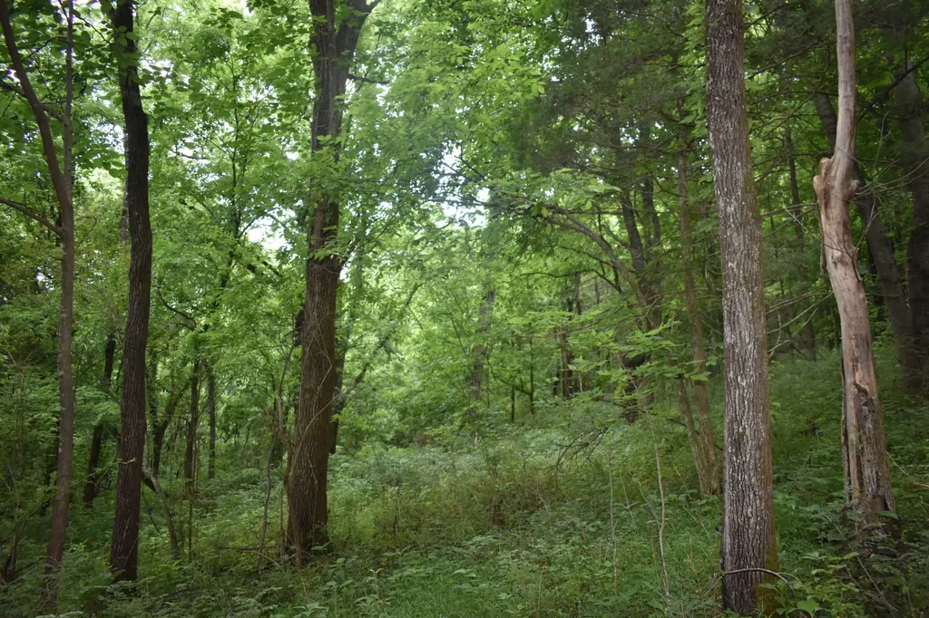 103 Nixon Hollow Ln, N Pleasant Shade TN 37145