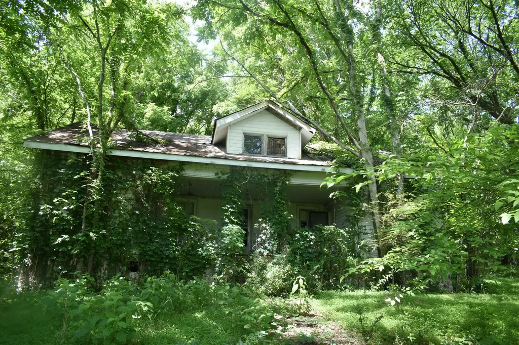 103 Nixon Hollow Ln, N Pleasant Shade TN 37145
