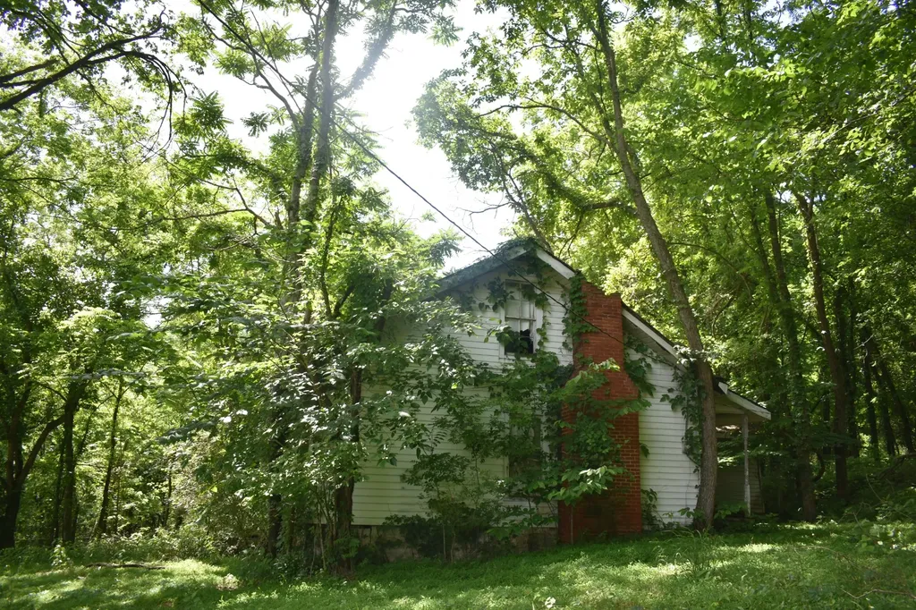 103 Nixon Hollow Ln, N Pleasant Shade TN 37145