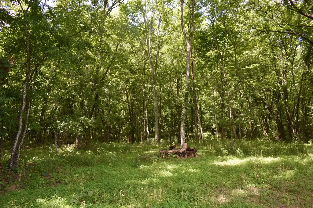 103 Nixon Hollow Ln, N Pleasant Shade TN 37145