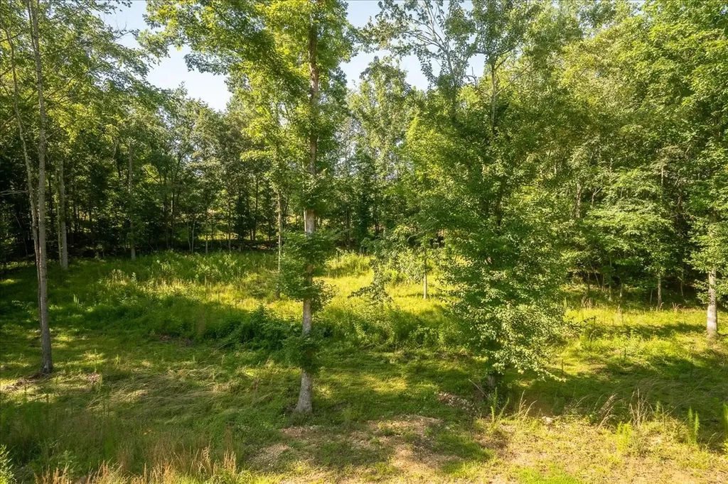 4239 Shady Oak Lane Iron City TN 38463