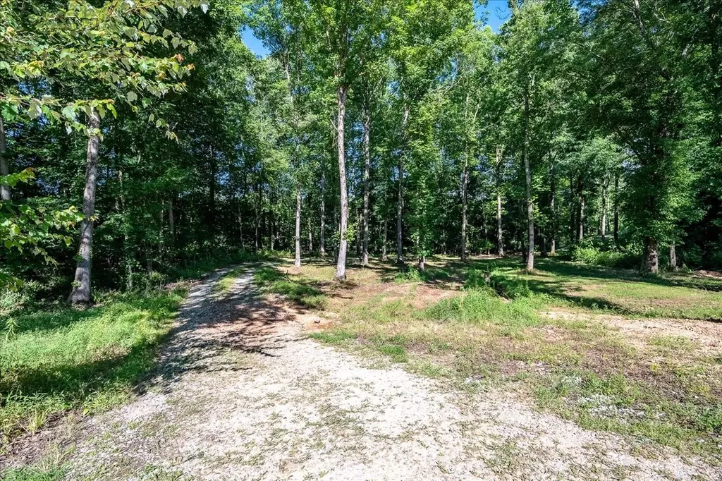 4239 Shady Oak Lane Iron City TN 38463