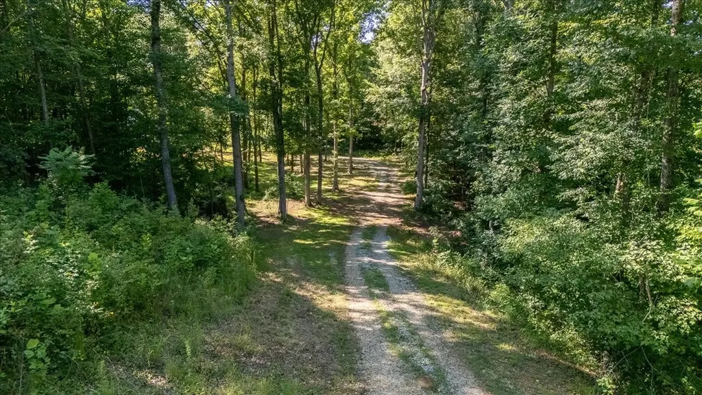 4239 Shady Oak Lane Iron City TN 38463