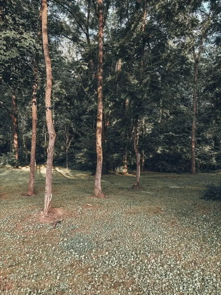 1975 Dowdy Road, SE Cleveland TN 37323