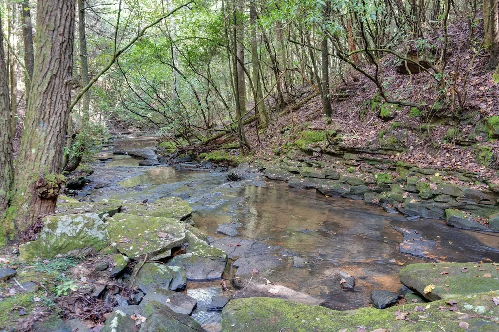 75B Deer Lick Trail Monteagle TN 37356