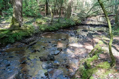 75B Deer Lick Trail Monteagle TN 37356