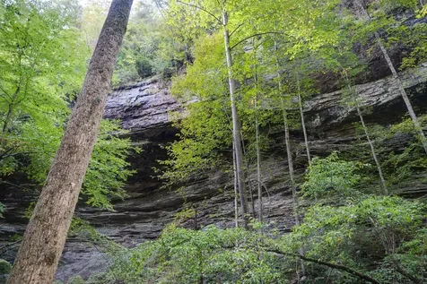 75B Deer Lick Trail Monteagle TN 37356