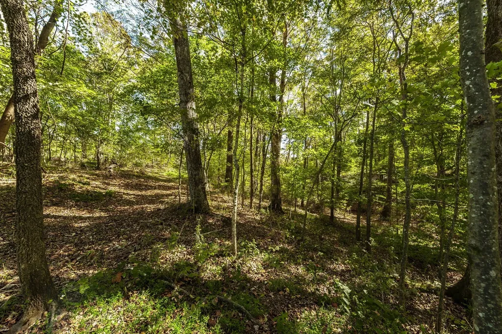 0 Highway 52e Portland TN 37148