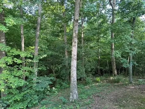 184 Mcduff Lane Camden TN 38320