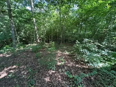 184 Mcduff Lane Camden TN 38320