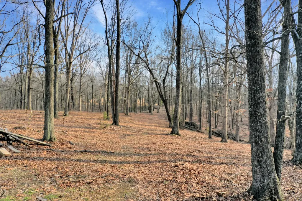 1041 Old Mount Vernon Road Bethpage TN 37022