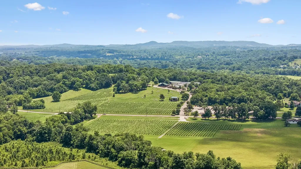 7021 Fiddlers Glen Drive Arrington TN 37014