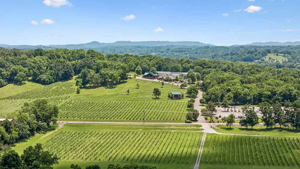 7021 Fiddlers Glen Drive Arrington TN 37014