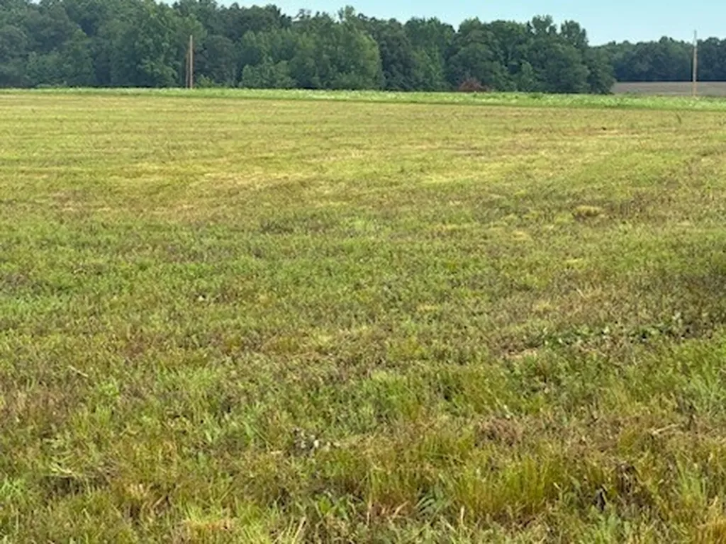 0 Rushing Road Ethridge TN 38456