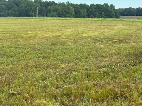 0 Rushing Road Ethridge TN 38456