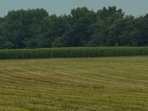 0 Rushing Road Ethridge TN 38456