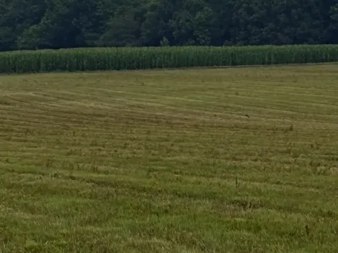 0 Rushing Road Ethridge TN 38456