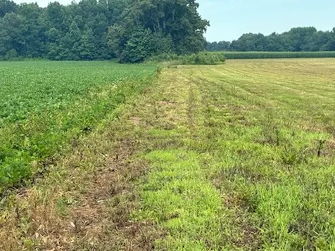 0 Rushing Road Ethridge TN 38456