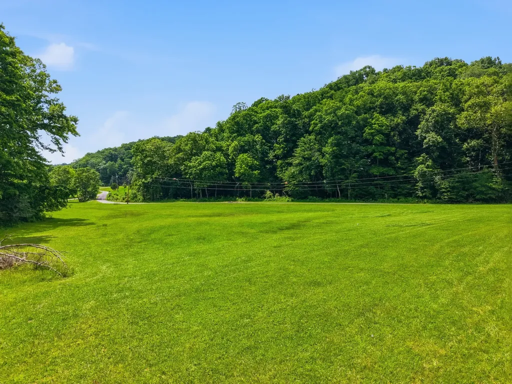 1639 Eucalyptus Drive Byrdstown TN 38549