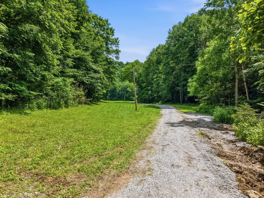 1639 Eucalyptus Drive Byrdstown TN 38549