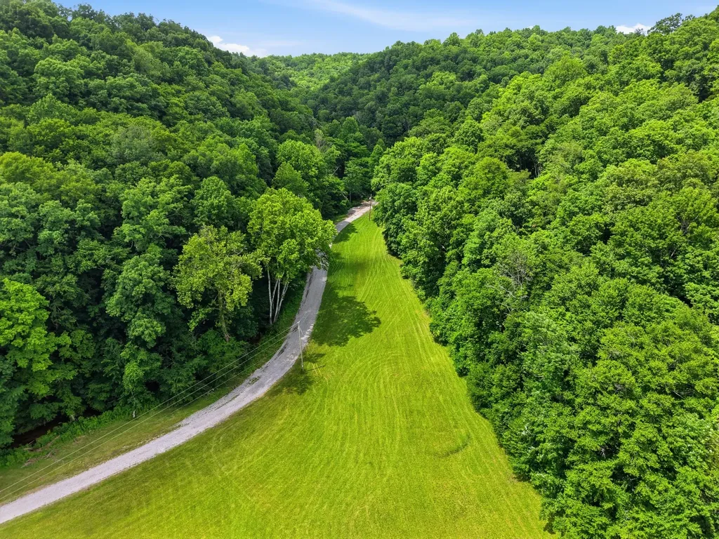 1639 Eucalyptus Drive Byrdstown TN 38549