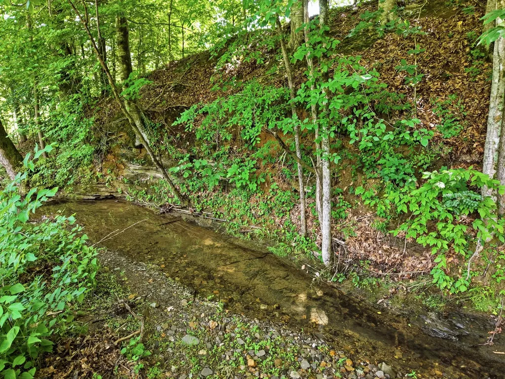 1639 Eucalyptus Drive Byrdstown TN 38549