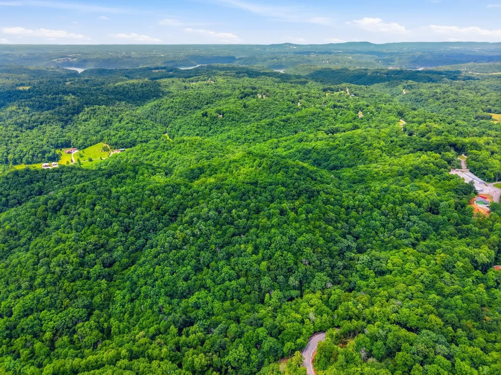 1639 Eucalyptus Drive Byrdstown TN 38549