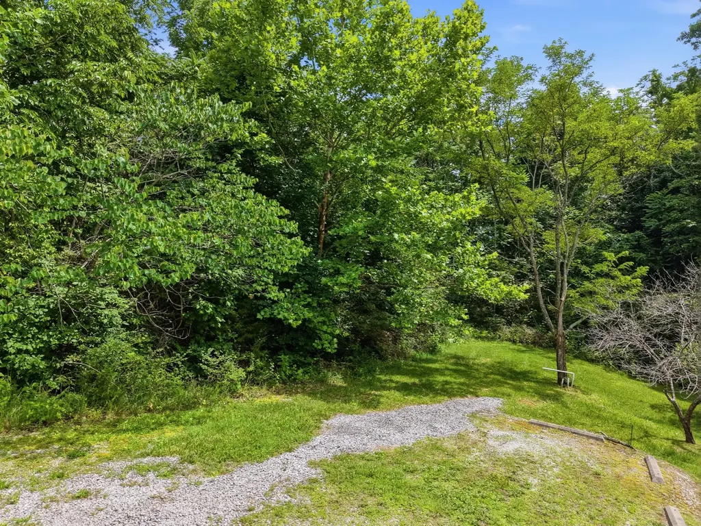 1639 Eucalyptus Drive Byrdstown TN 38549