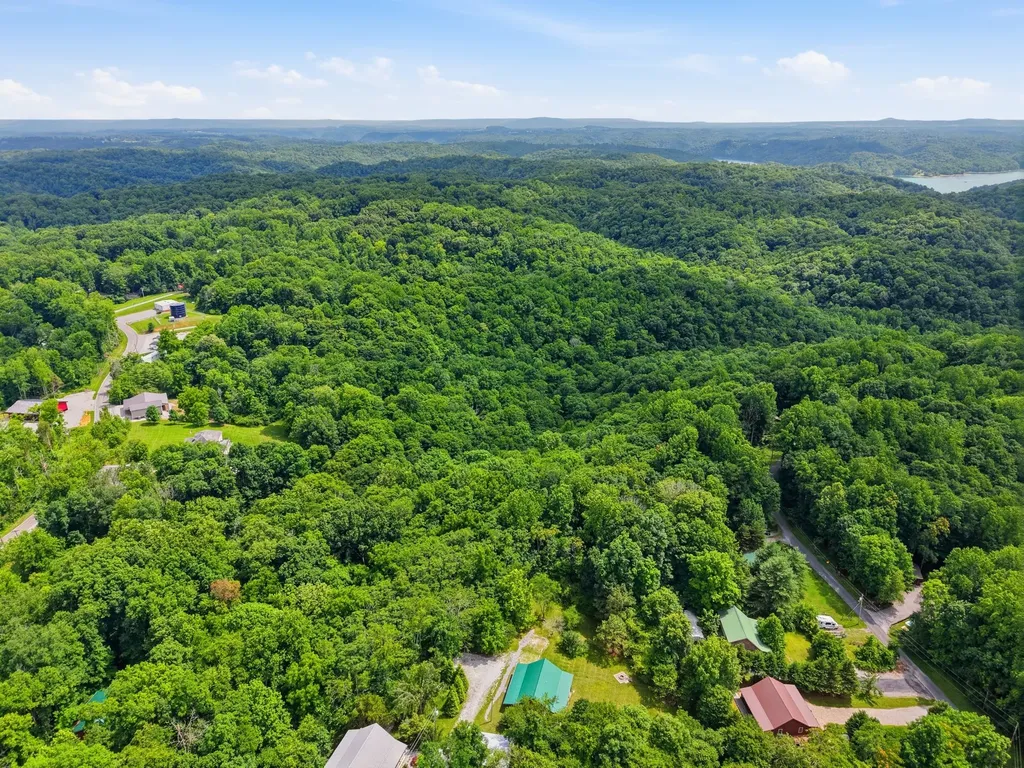1639 Eucalyptus Drive Byrdstown TN 38549