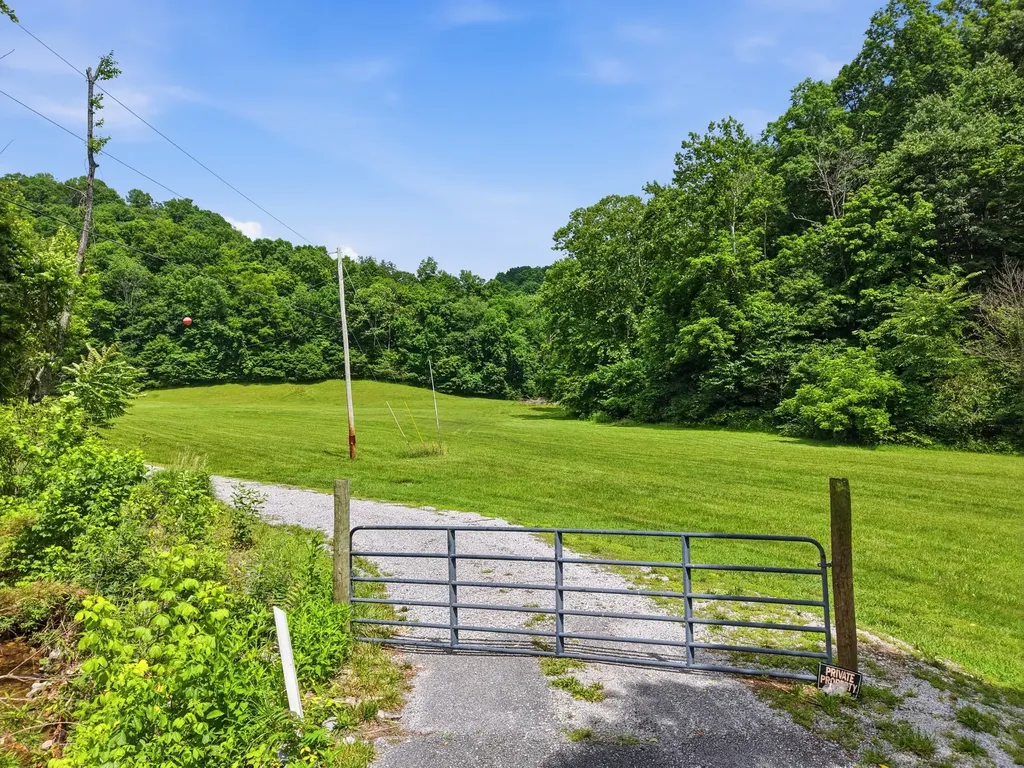 1639 Eucalyptus Drive Byrdstown TN 38549