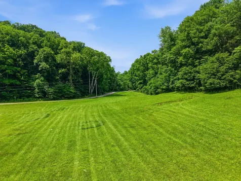 1639 Eucalyptus Drive Byrdstown TN 38549