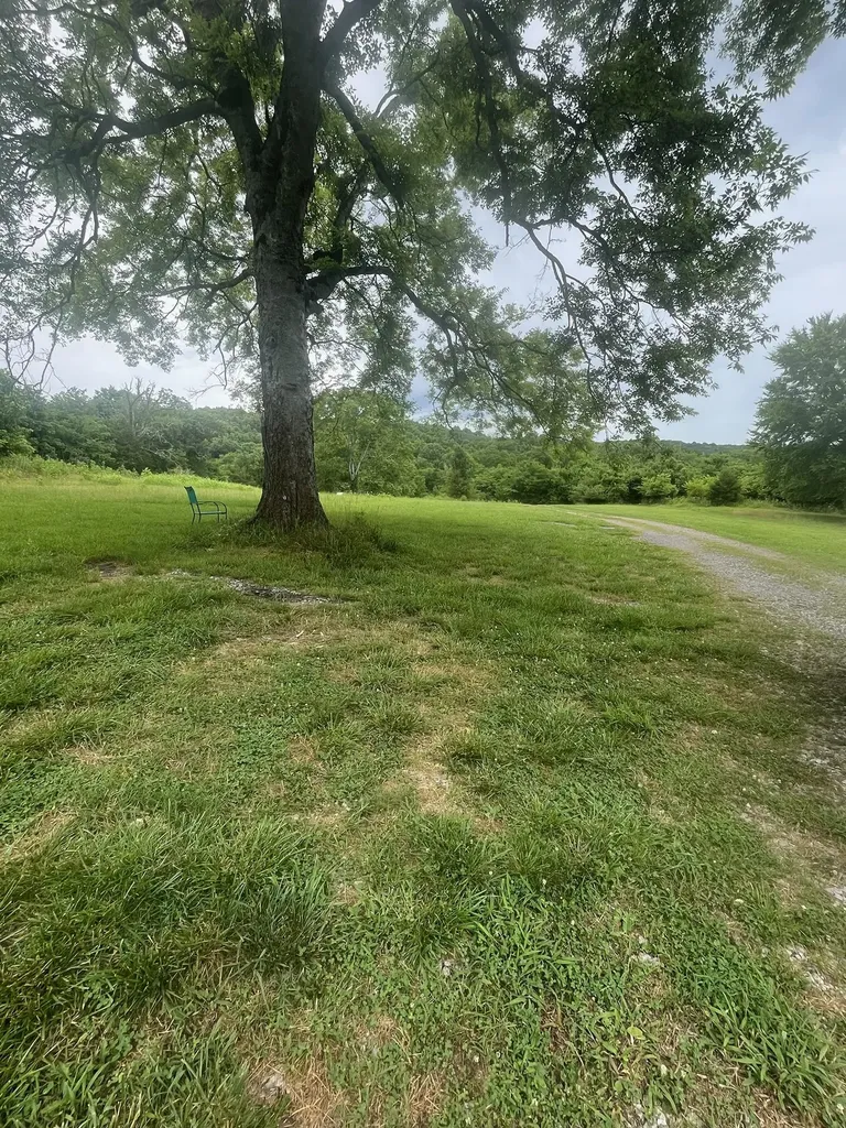 57 Leland Lane Brush Creek TN 38547