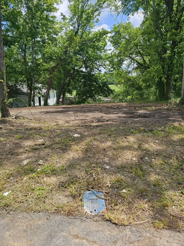 0 8th Street Bell Buckle TN 37020