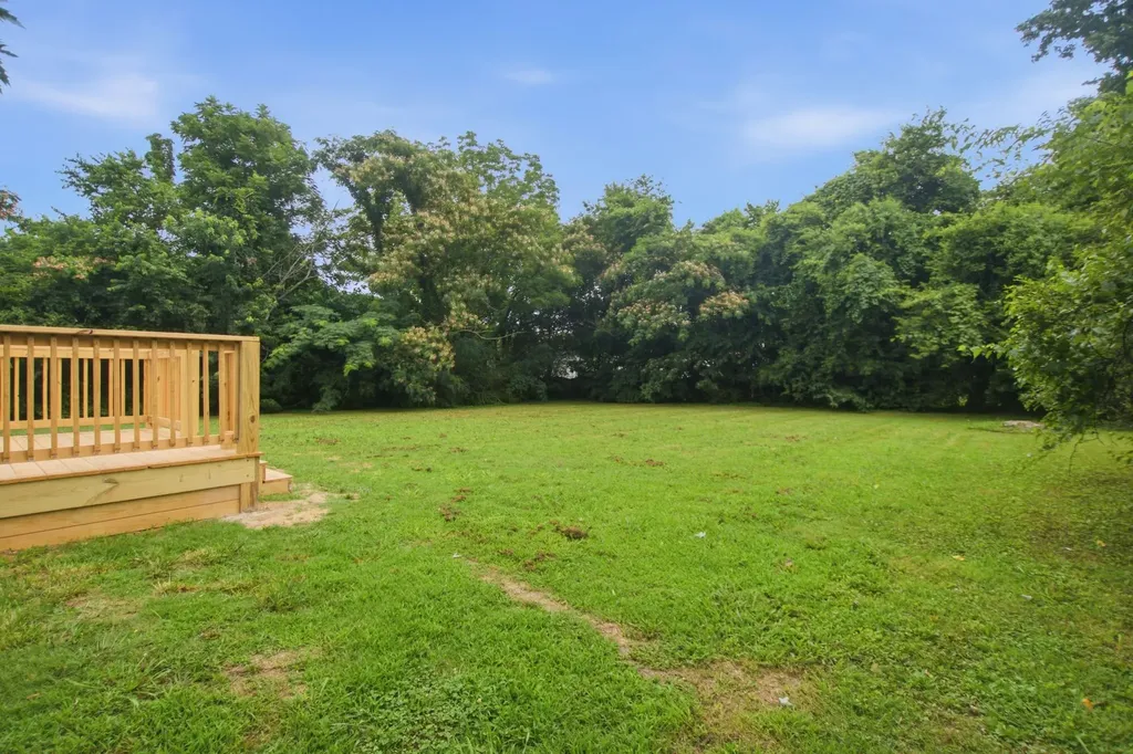 198 N Meribeth Lane Christiana TN 37037