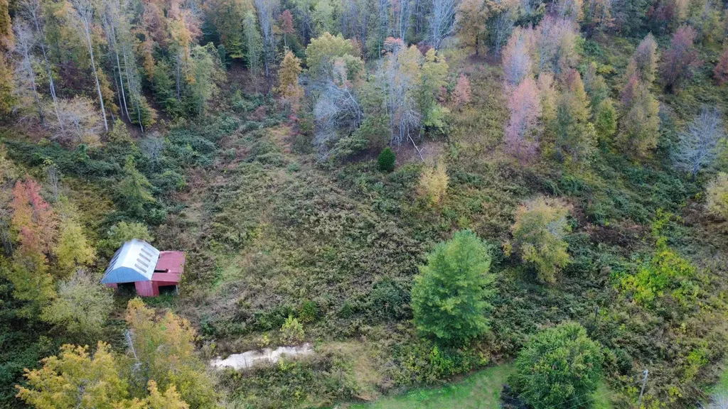 440 Big Spring Hollow Road Pulaski TN 38478