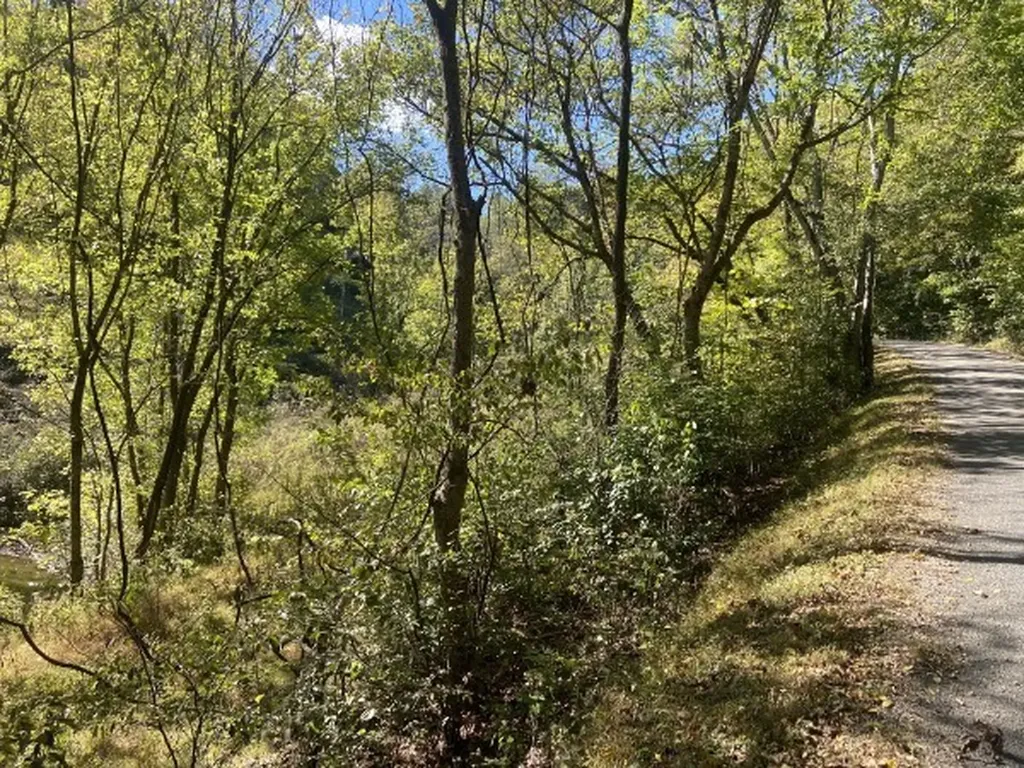 440 Big Spring Hollow Road Pulaski TN 38478