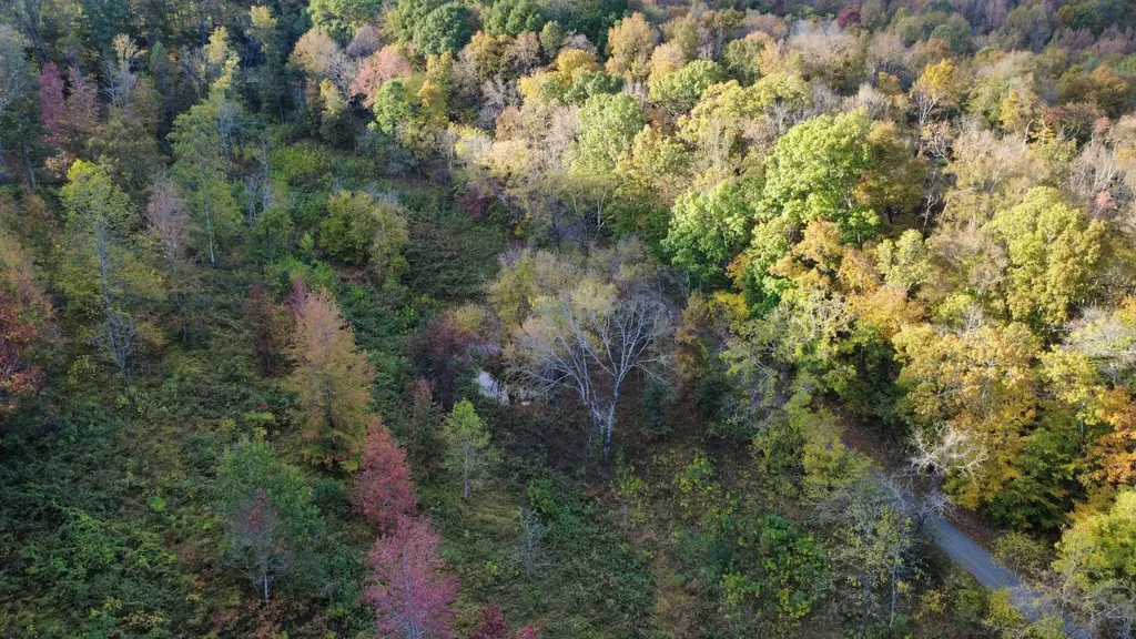440 Big Spring Hollow Road Pulaski TN 38478